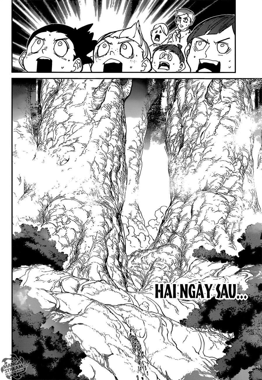 The Promised Neverland Chapter 118 - Trang 2