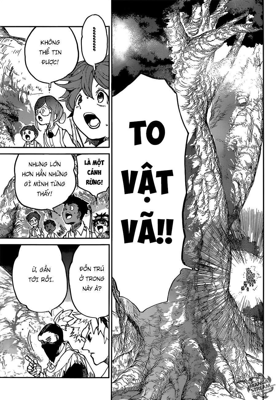 The Promised Neverland Chapter 118 - Trang 2