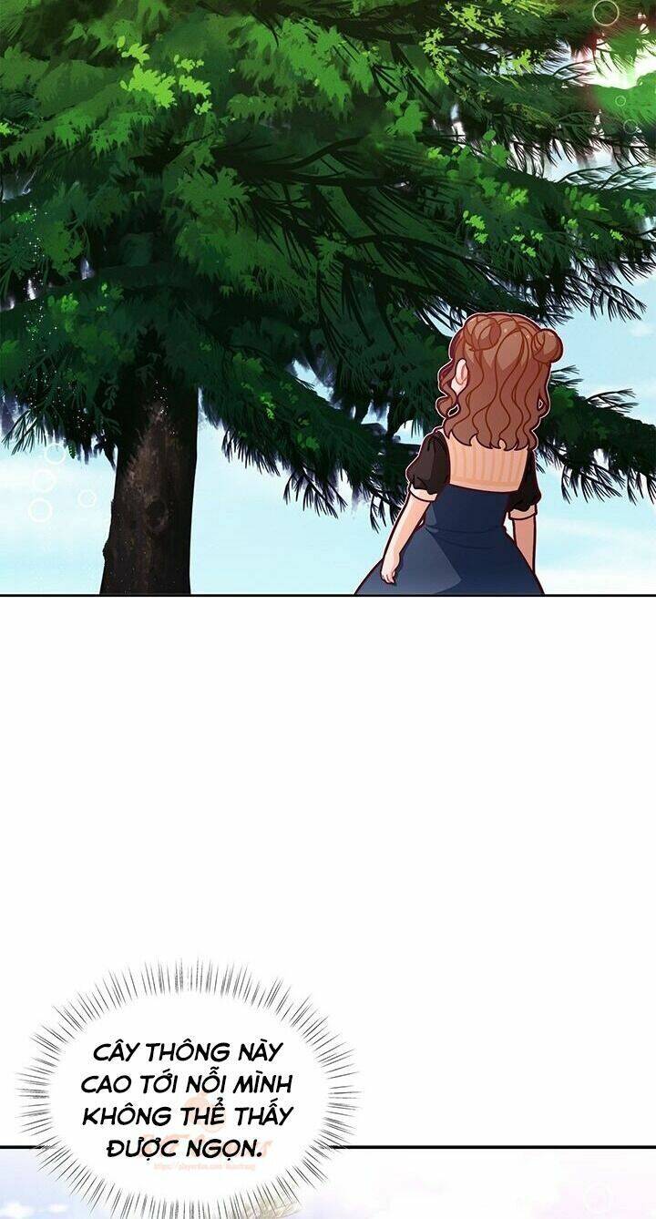 Tôi Chỉ Là Một Tiểu Thư Bình Thường Chapter 49 - Trang 2