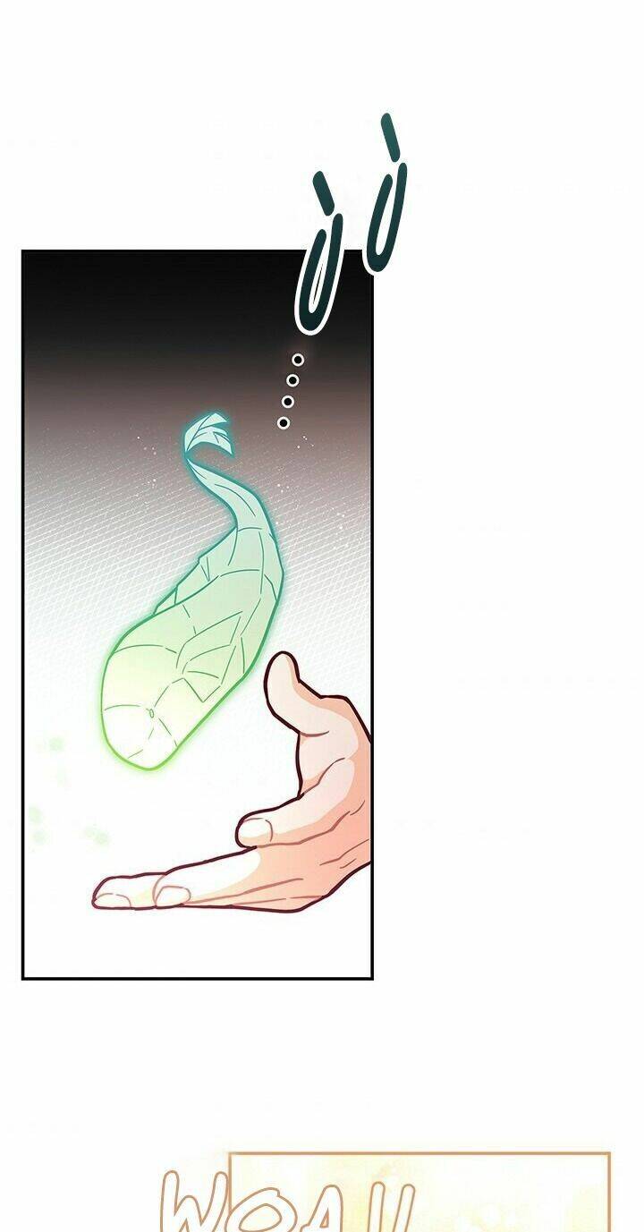 Tôi Chỉ Là Một Tiểu Thư Bình Thường Chapter 48 - Trang 2
