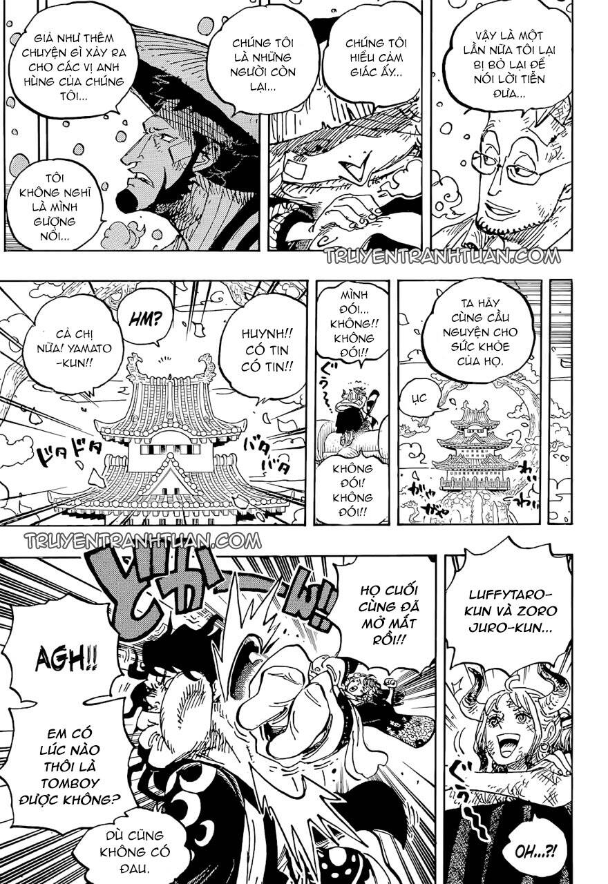 One Piece Chapter 1052 - Trang 2