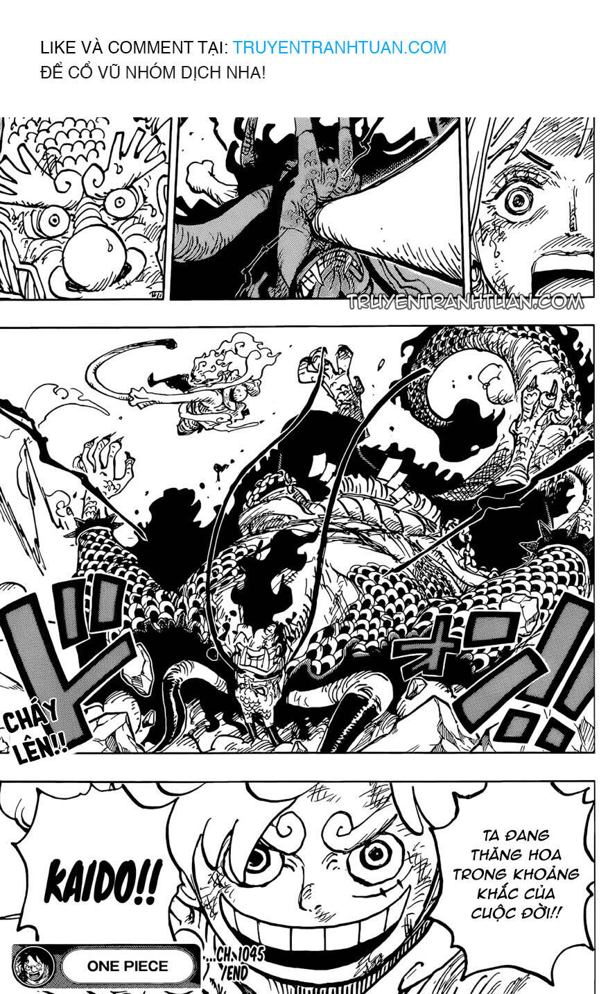 One Piece Chapter 1045 - Trang 2