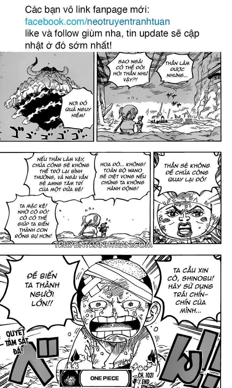 One Piece Chapter 1021 - Trang 2