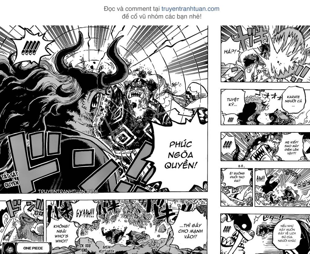 One Piece Chapter 1018 - Trang 2