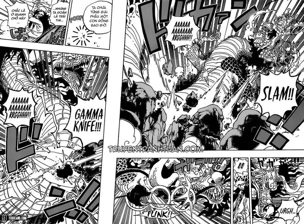 One Piece Chapter 1002 - Trang 2