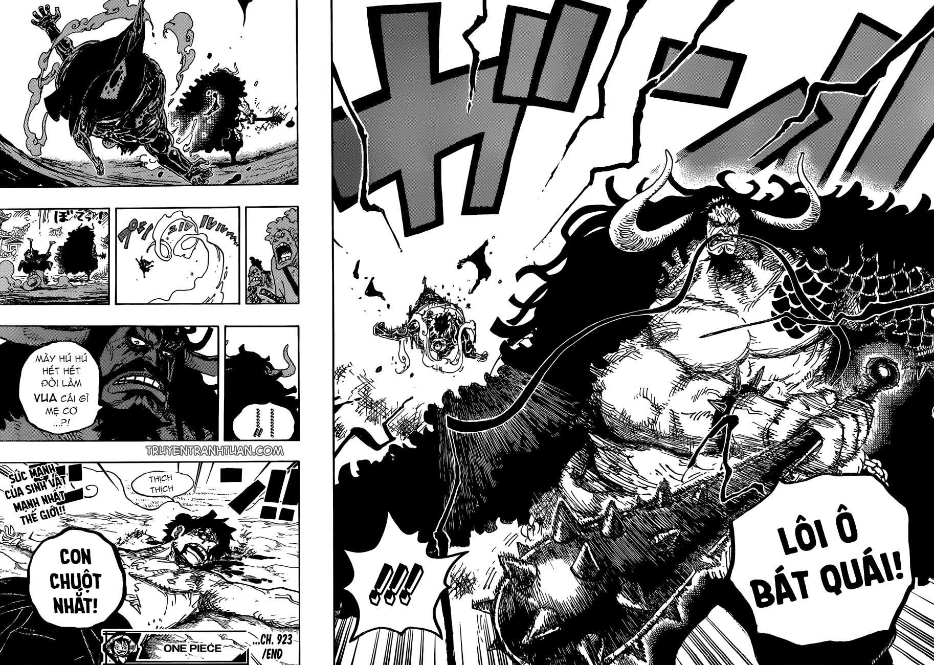 One Piece Chapter 923 - Trang 2