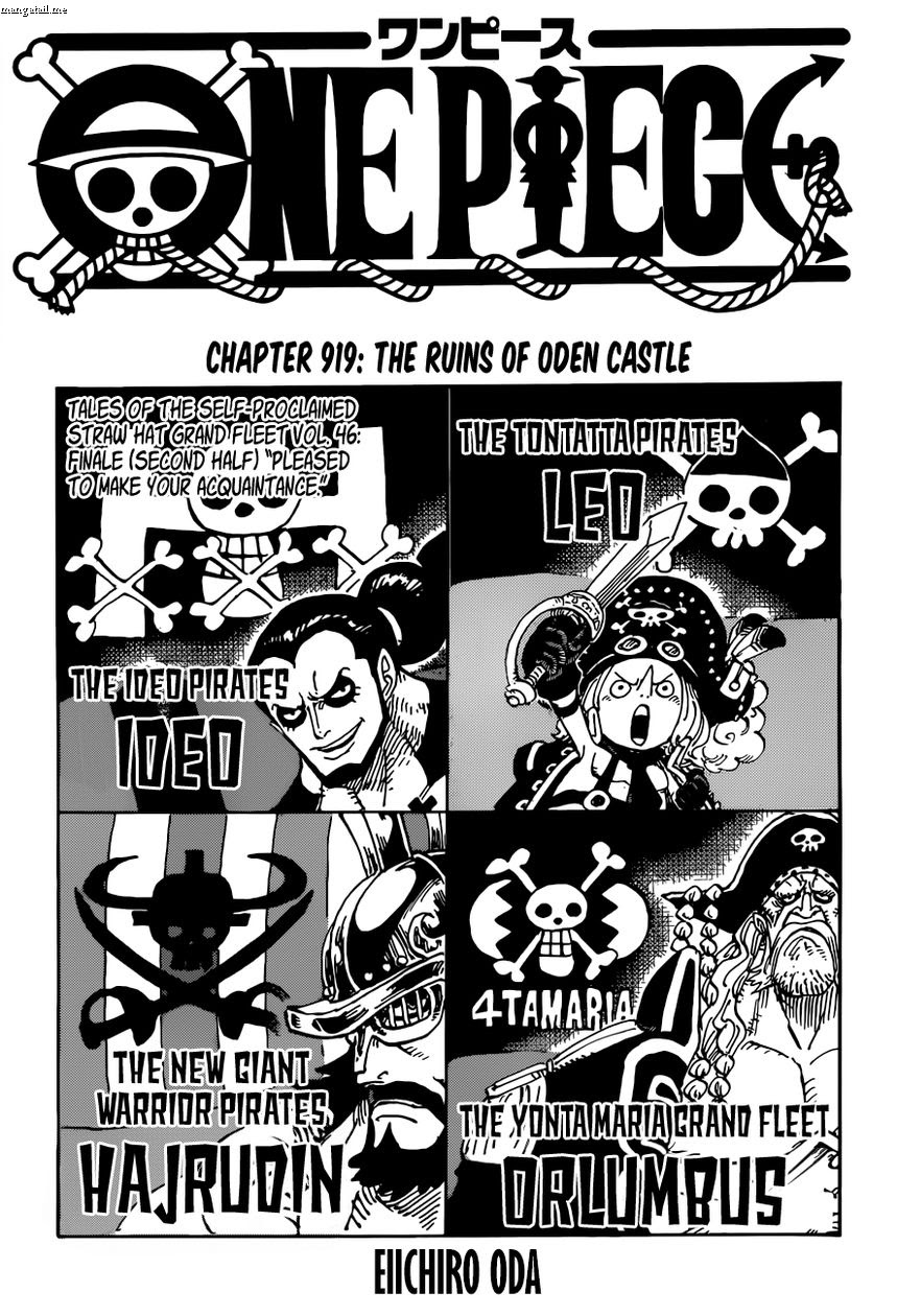 One Piece Chapter 919 - Trang 2