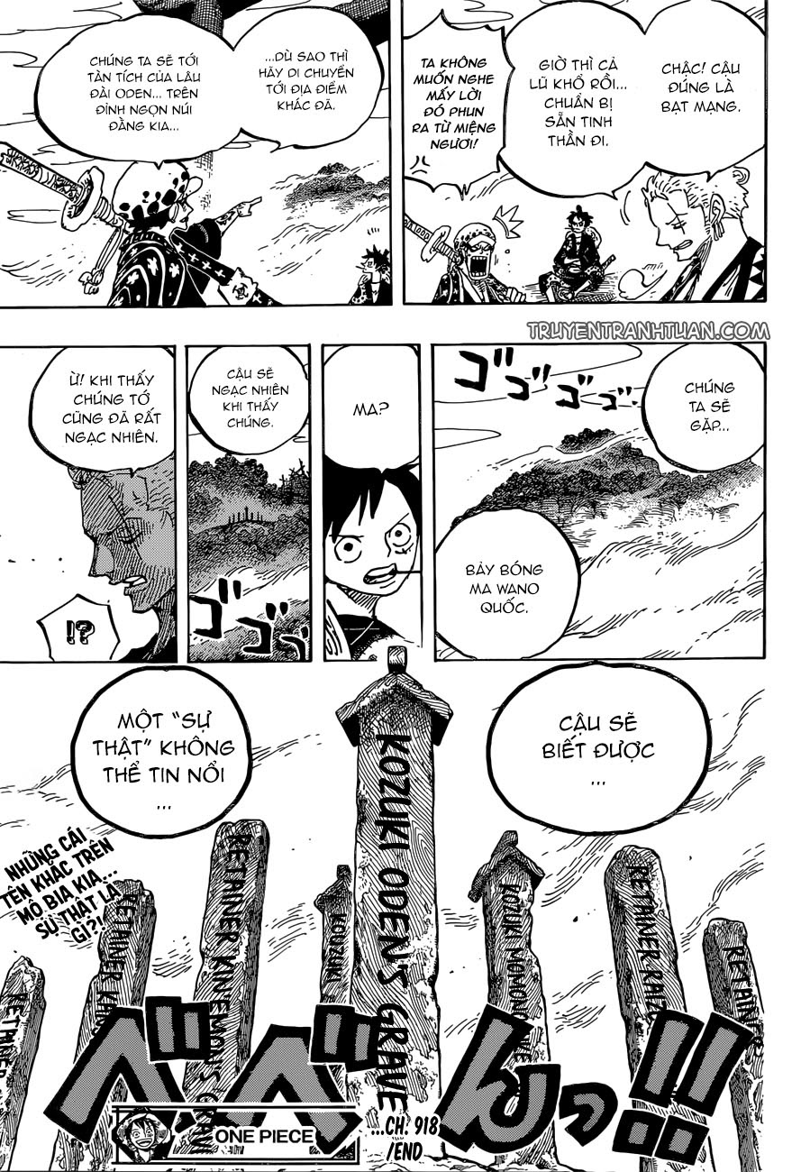 One Piece Chapter 918 - Trang 2