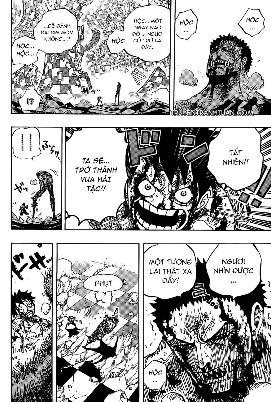 One Piece Chapter 896 - Trang 2