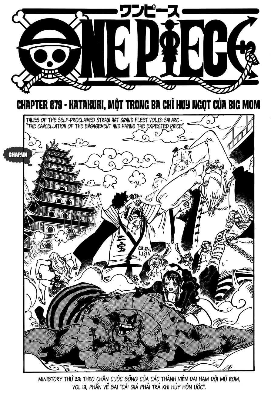 One Piece Chapter 879 - Trang 2