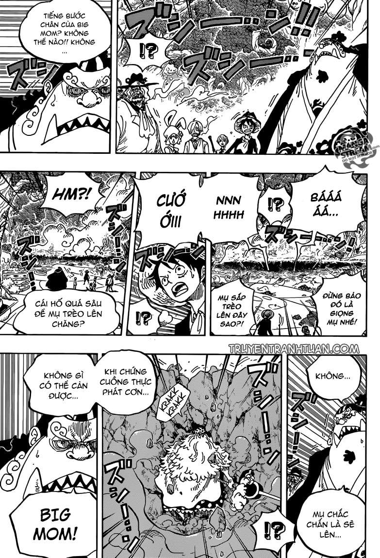 One Piece Chapter 876 - Trang 2