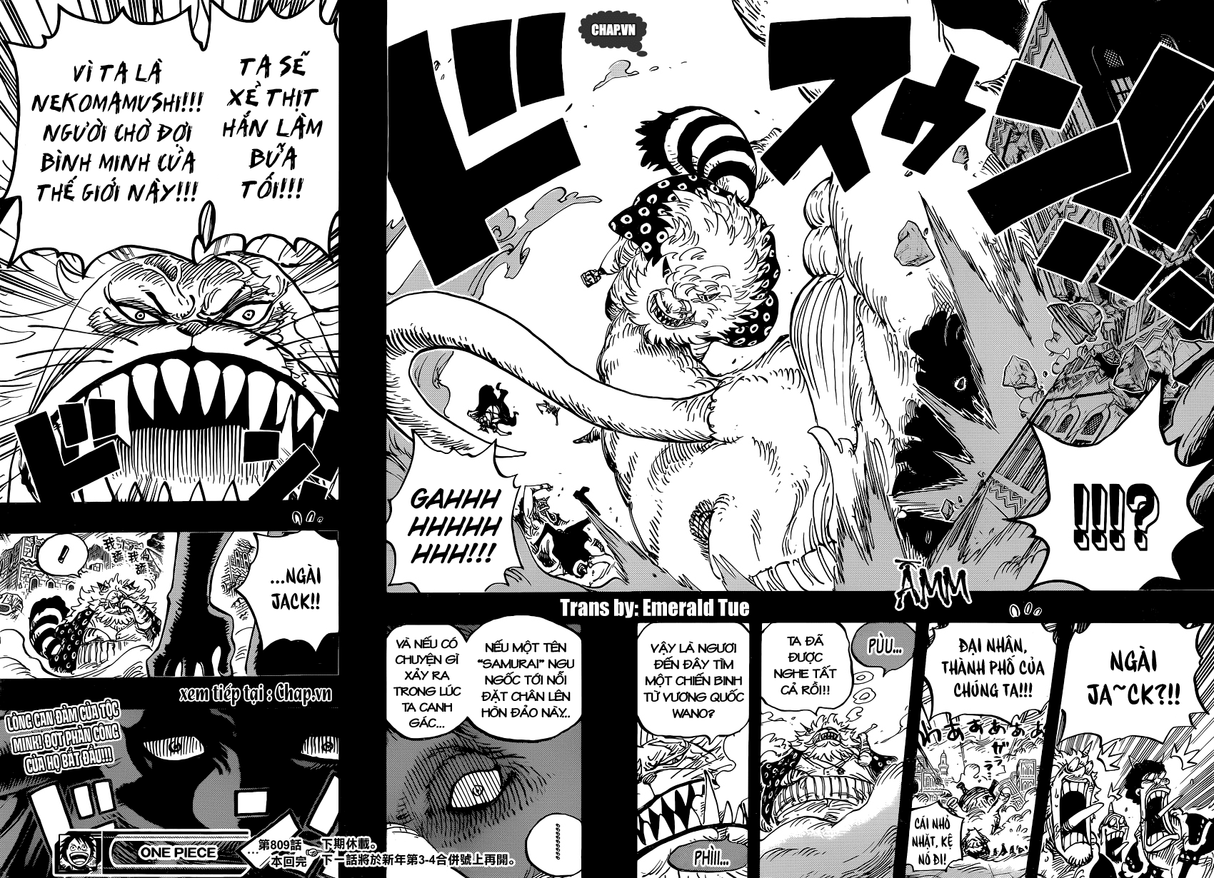 One Piece Chapter 809 - Trang 2