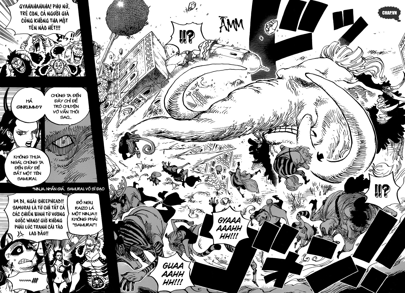 One Piece Chapter 808 - Trang 2