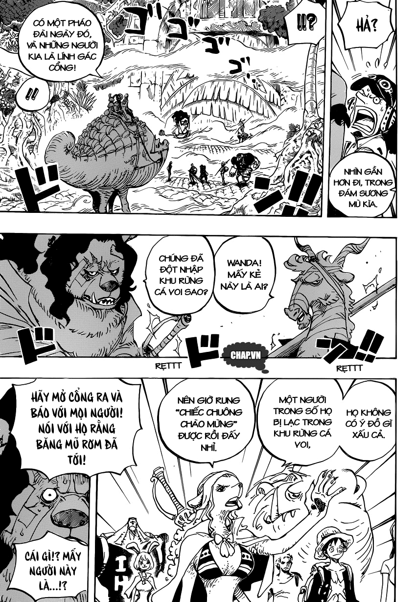 One Piece Chapter 806 - Trang 2