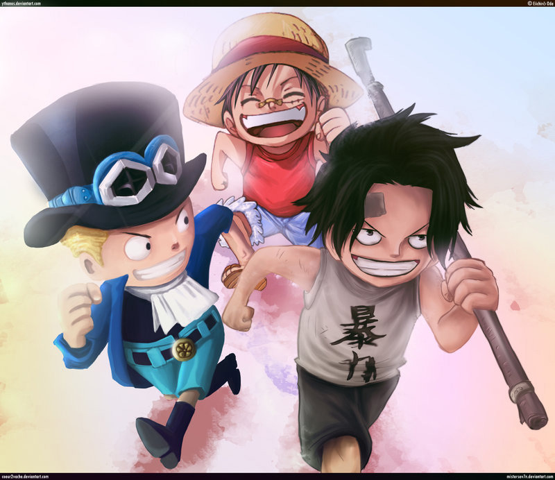 One Piece Chapter 806 - Trang 2