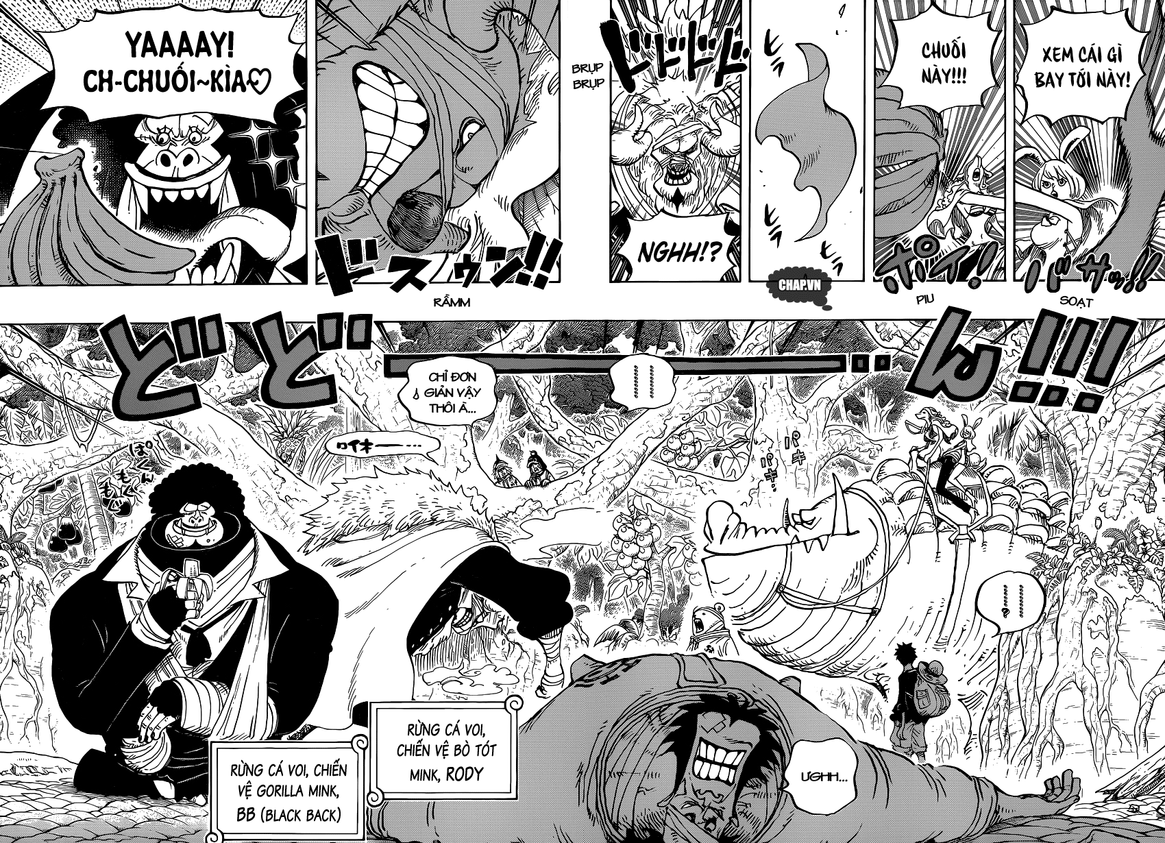 One Piece Chapter 805 - Trang 2