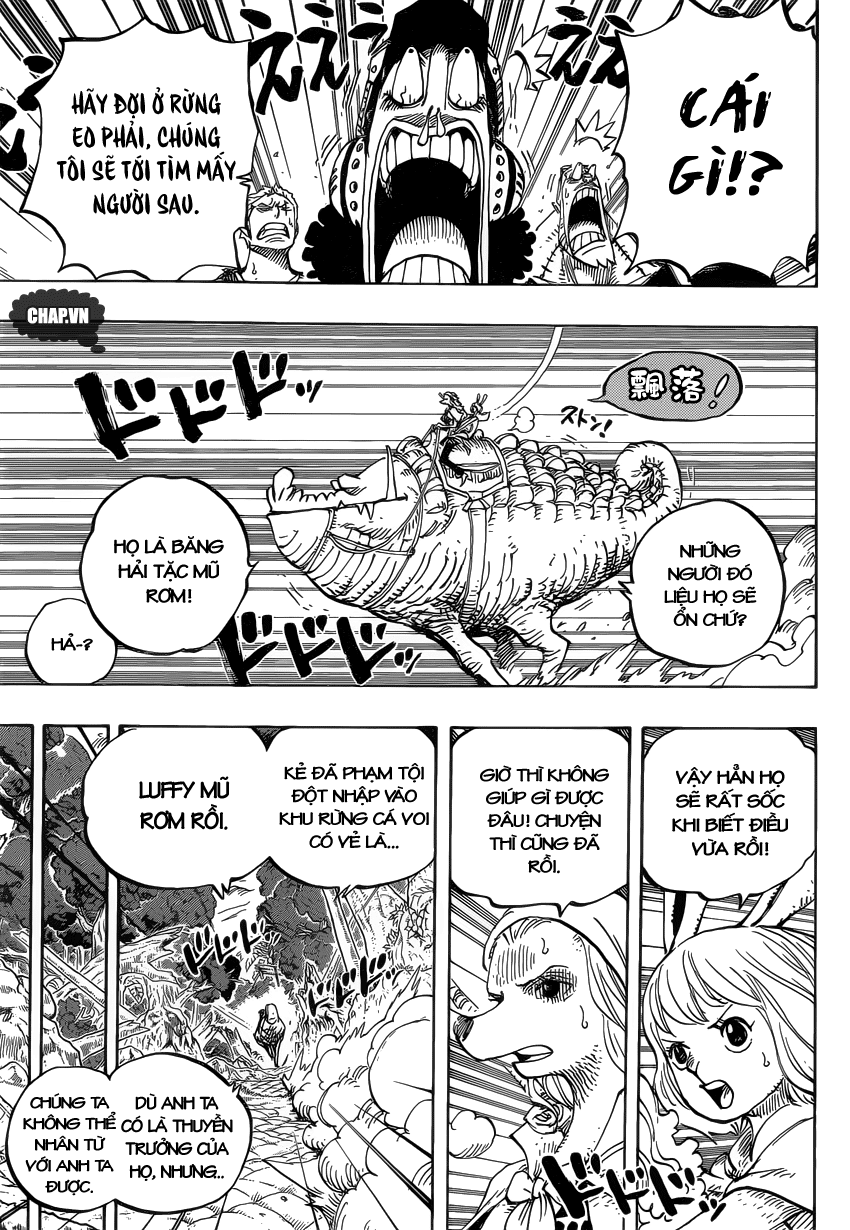 One Piece Chapter 805 - Trang 2