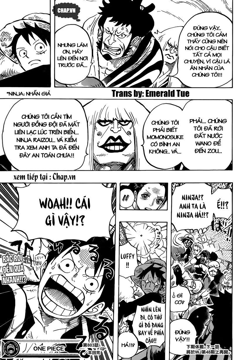 One Piece Chapter 803 - Trang 2