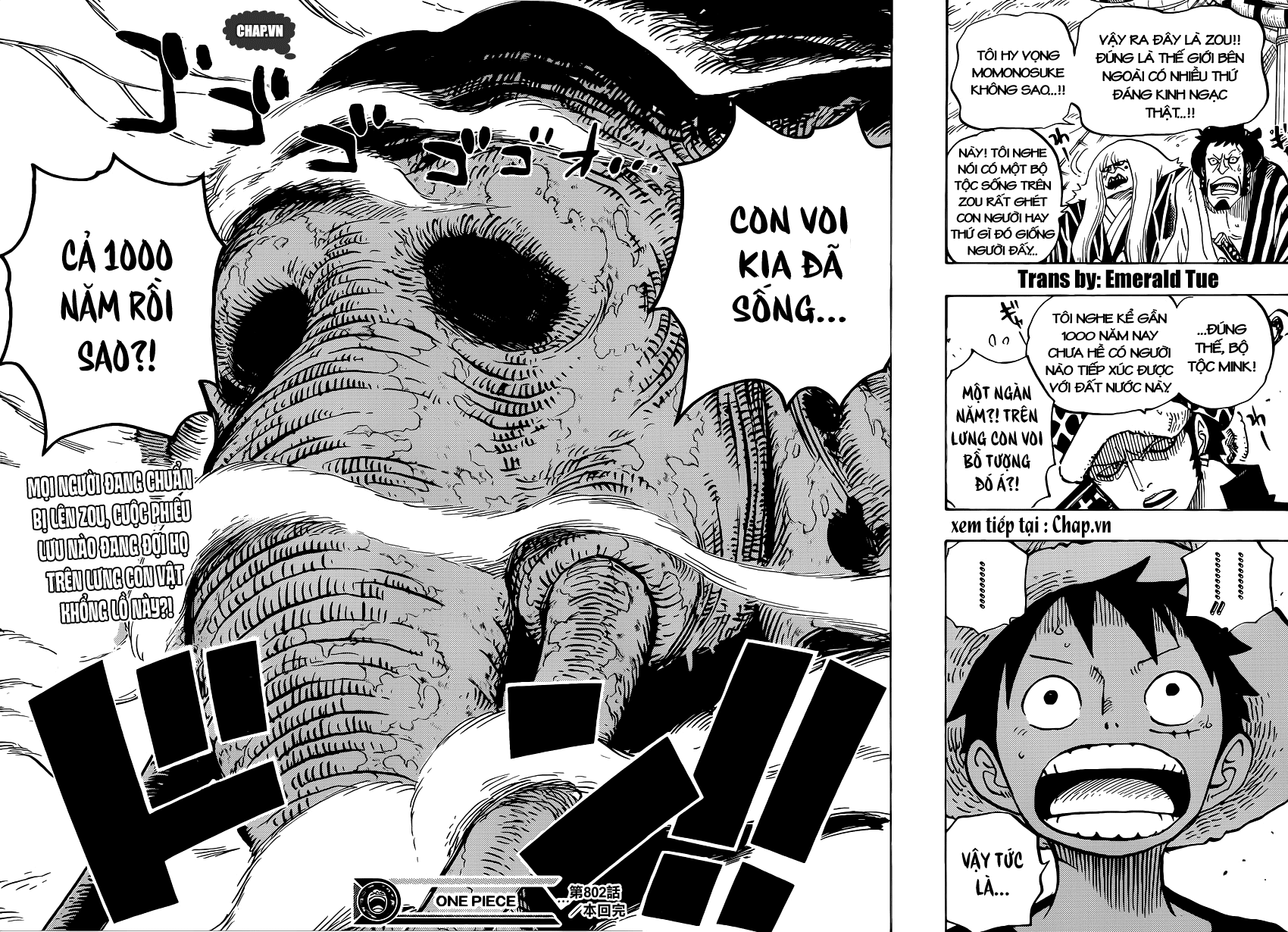 One Piece Chapter 802 - Trang 2