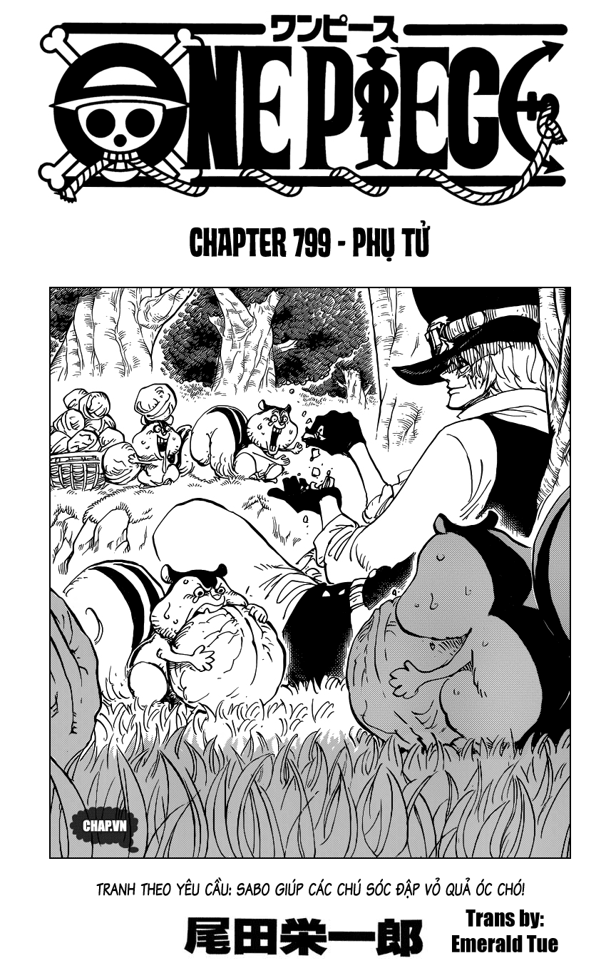 One Piece Chapter 799 - Trang 2