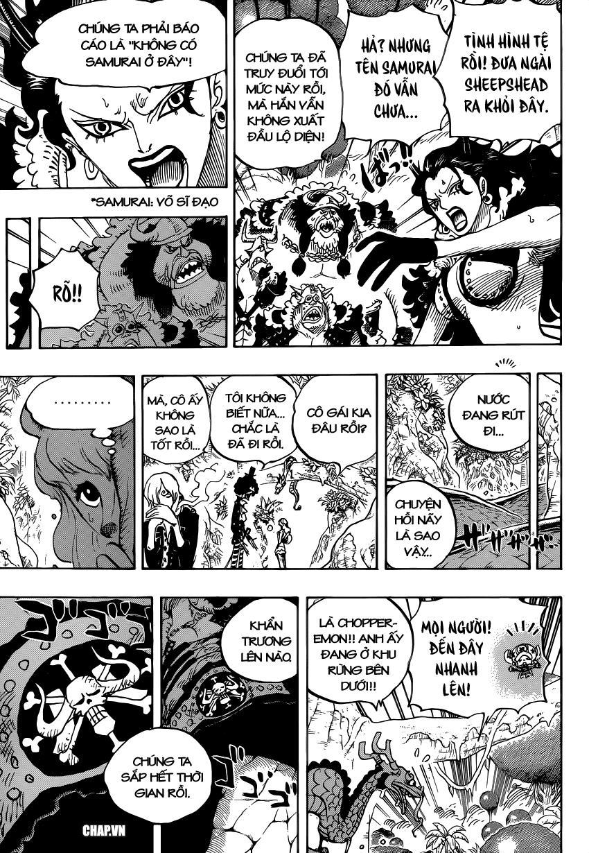 One Piece Chapter 795 - Trang 2