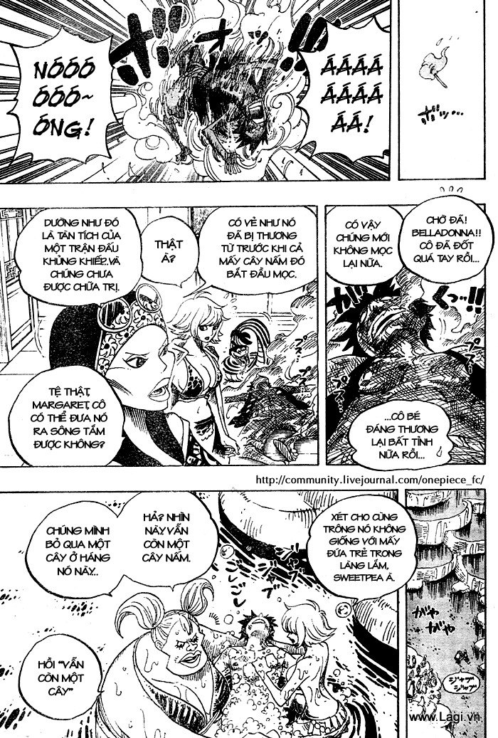 One Piece Chapter 514 - Trang 2