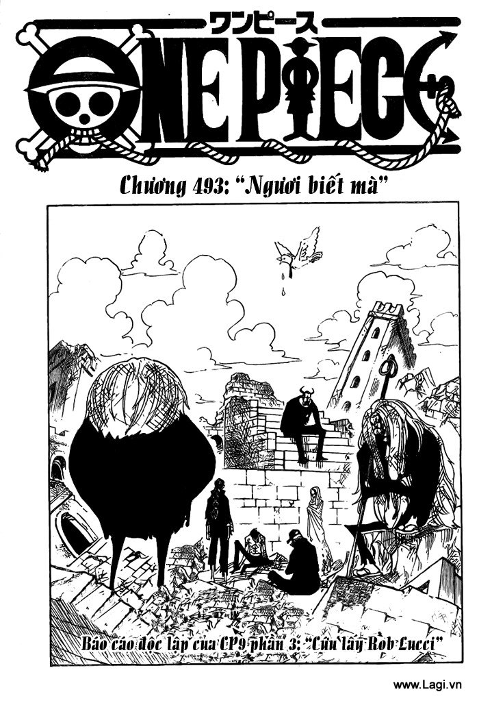 One Piece Chapter 493 - Trang 2