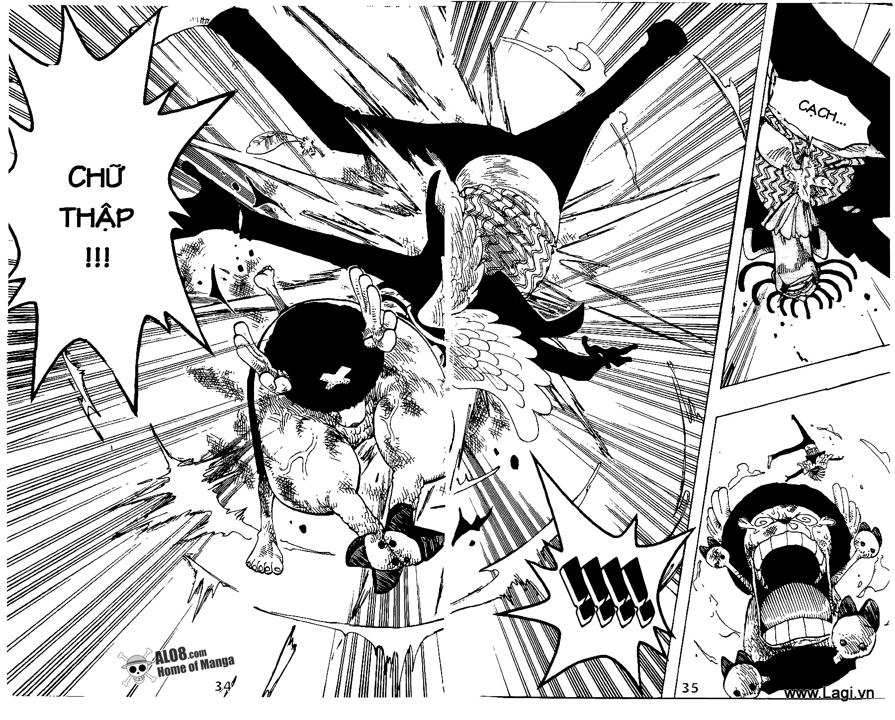 One Piece Chapter 262 - Trang 2