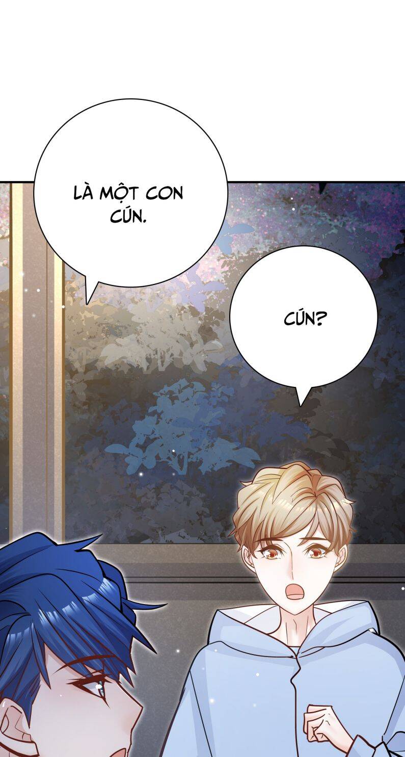 Anh Ấy Sinh Ra Đã Là Công Của Tôi Chapter 75 - Trang 2