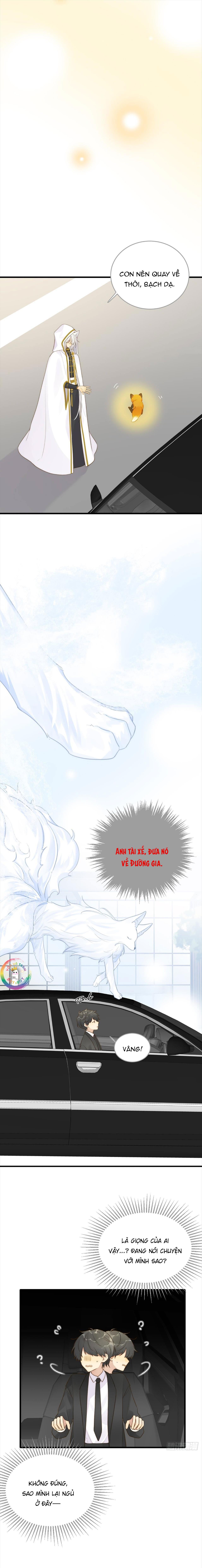 Chỉ Riêng Đuôi Là Không Được!!! Chapter 8 - Trang 2