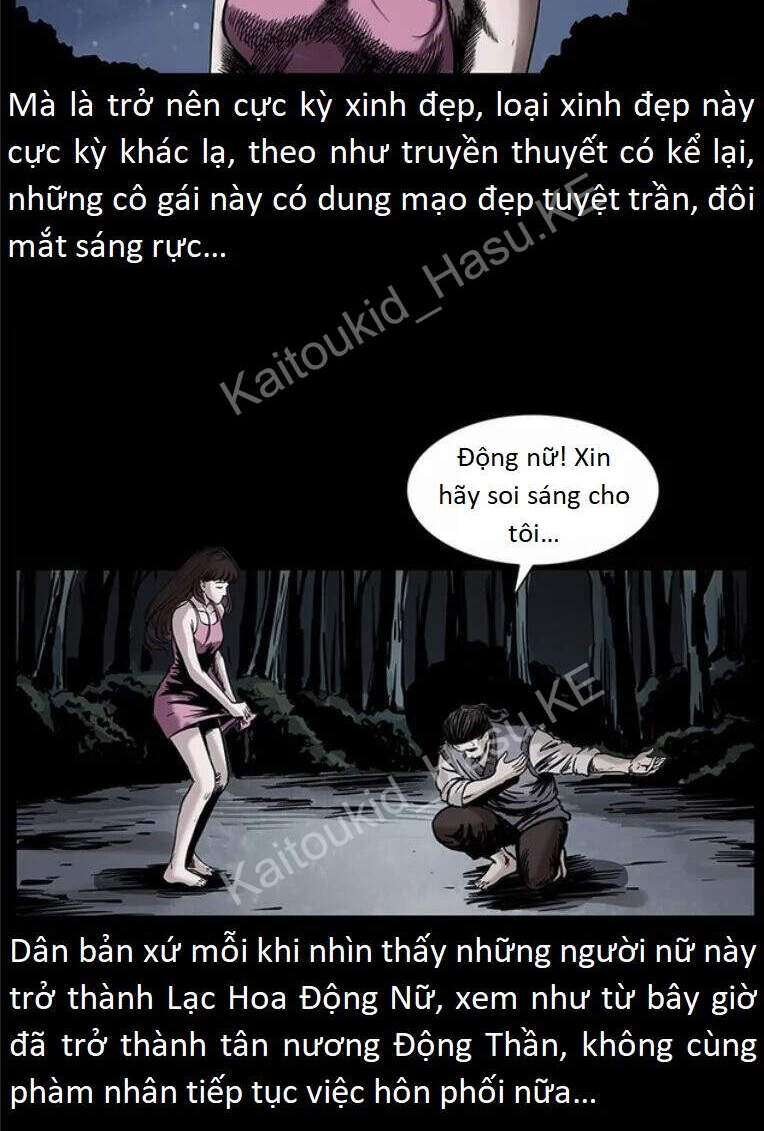 U Minh Ngụy Tượng Chapter 300 - Trang 2