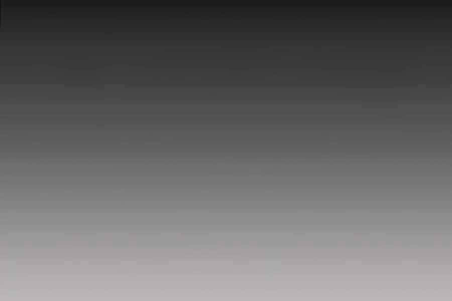 Thợ Săn Cơ Bắp Chapter 7 - Trang 2