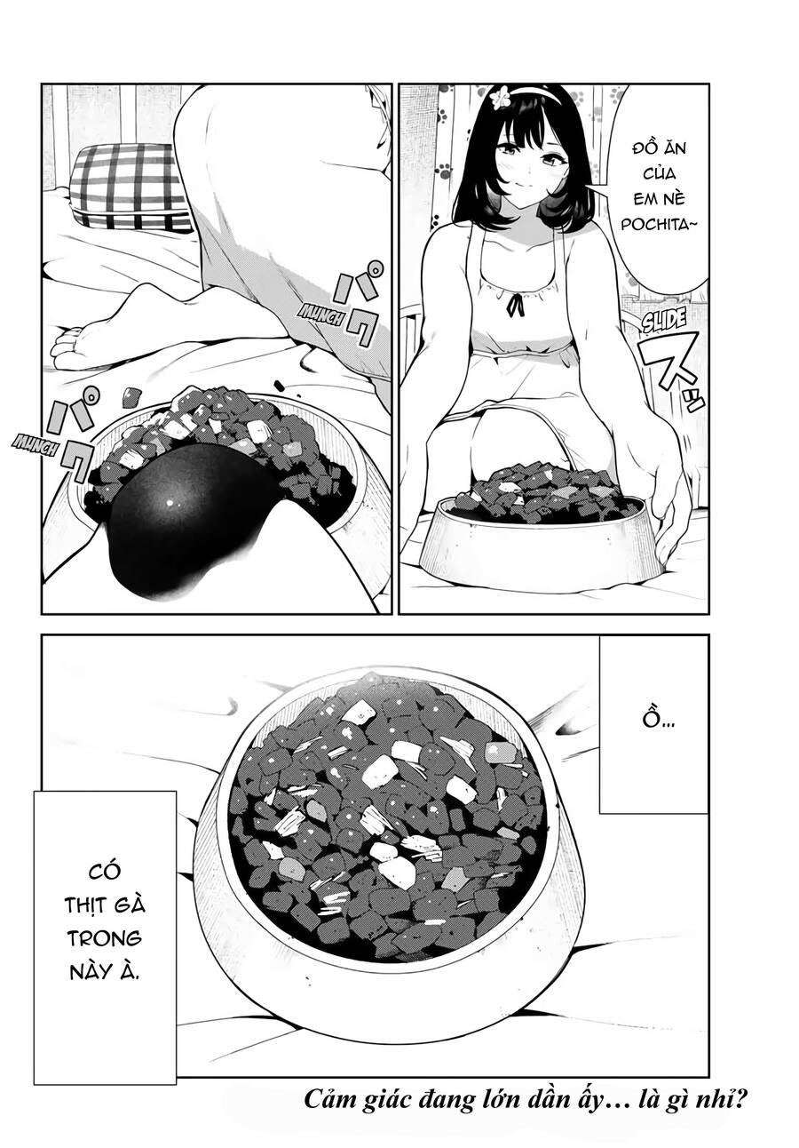 Cuộc Sống Khi Là Chó Cưng Của Inukai-San Chapter 25 - Trang 2