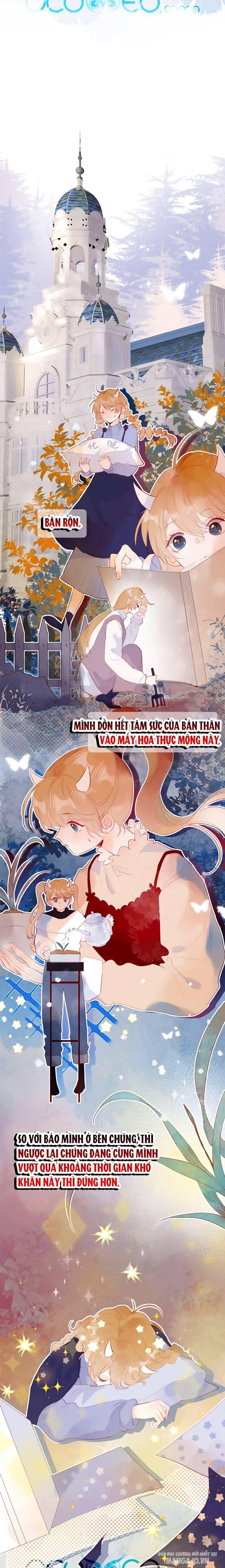 Hoa Dữ Ẩn Nặc Chi Ô Chapter 132 - Trang 2