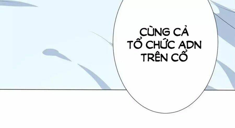 Bác Sĩ Sở Cũng Muốn Yêu Chapter 246 - Trang 2