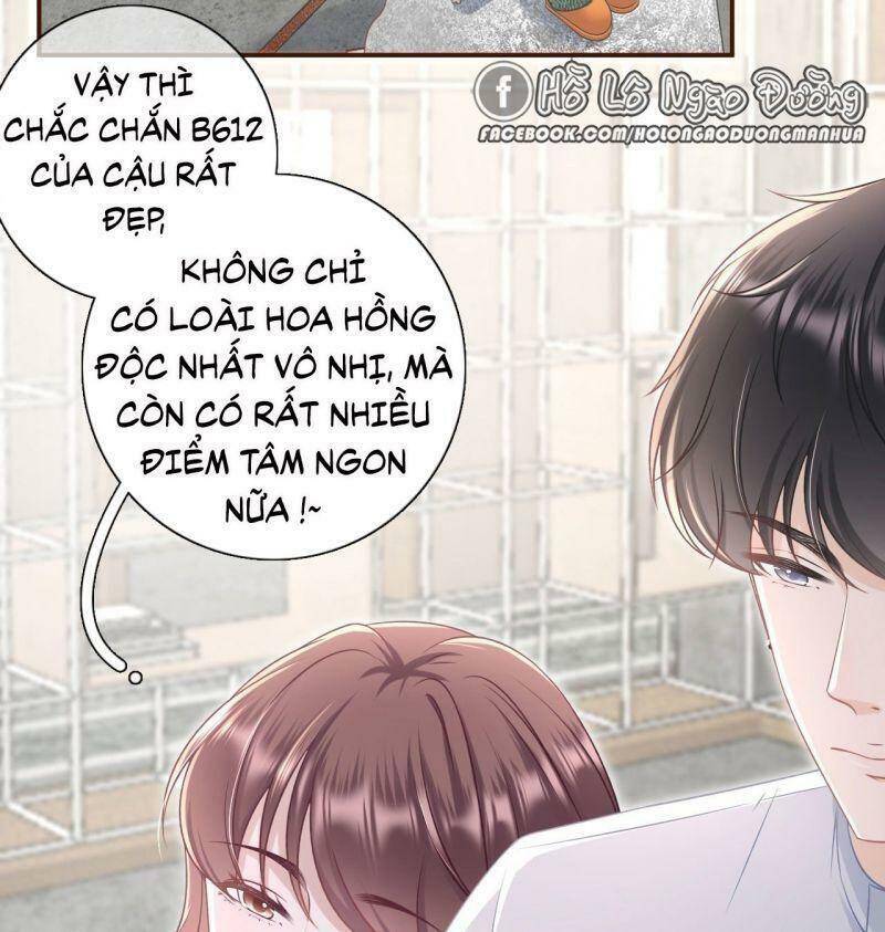 Bạn Gái Tôi Mới 30+ Chapter 80 - Trang 2