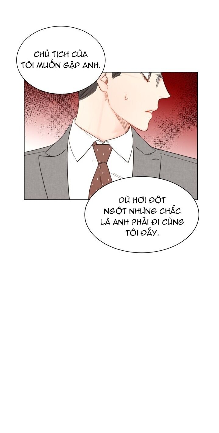 Hẹn Hò Chốn Công Sở Chapter 52 - Trang 2