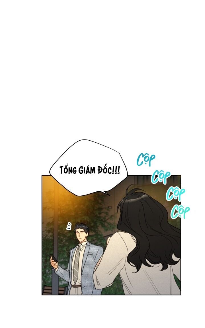 Hẹn Hò Chốn Công Sở Chapter 52 - Trang 2