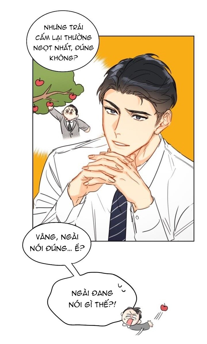 Hẹn Hò Chốn Công Sở Chapter 9 - Trang 2