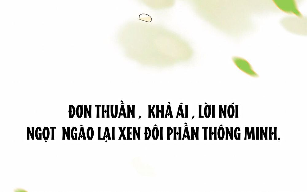 Lưu Hoa Bất Cập Xuân Chapter 0 - Trang 2