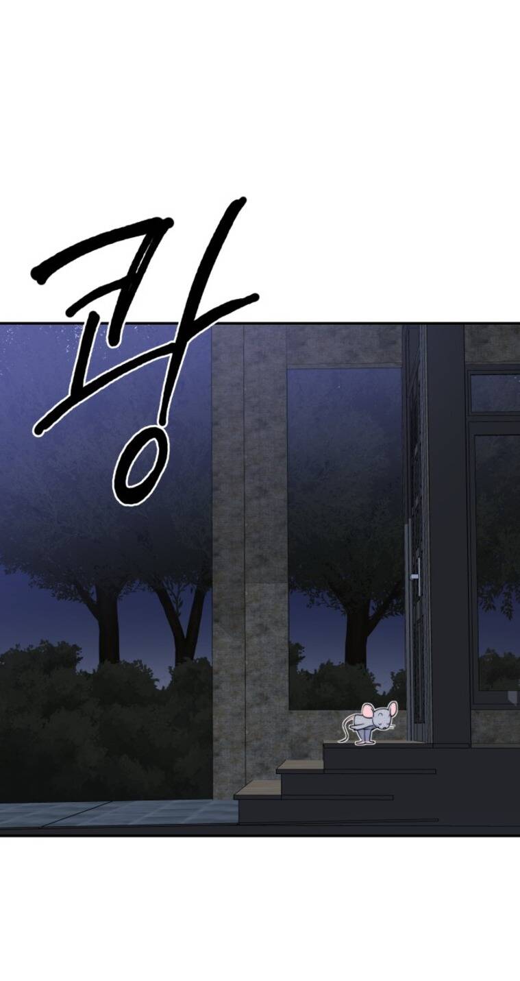 Chị Em Nhà Ki Chapter 12 - Trang 2