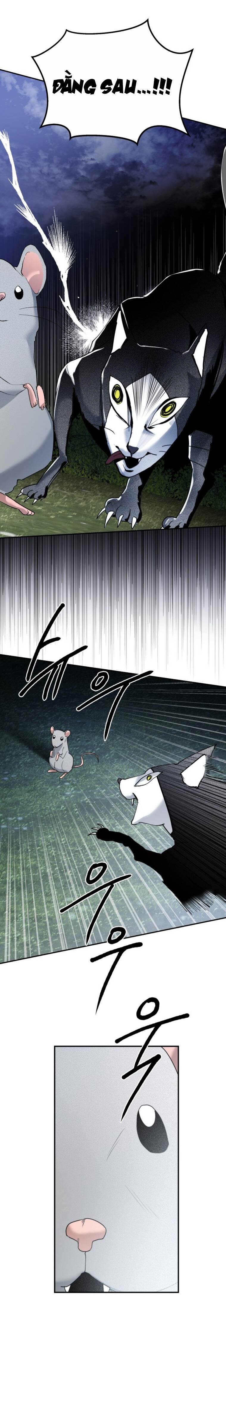 Chị Em Nhà Ki Chapter 12 - Trang 2