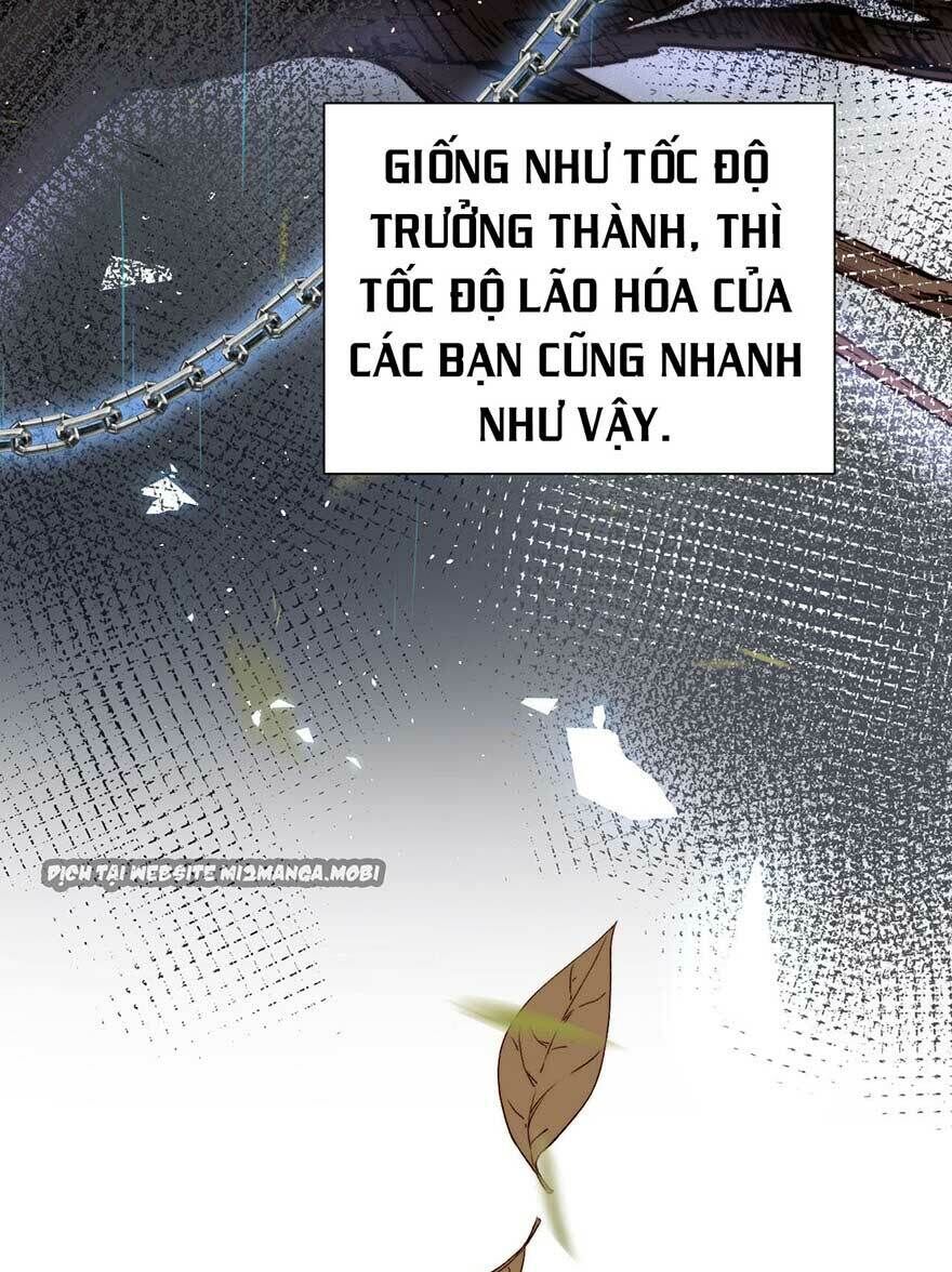 Triều Tây, Con Thích Chú Chapter 14 - Trang 2