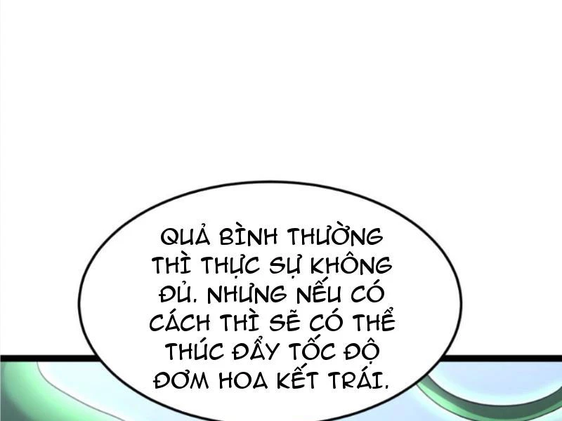 Toàn Cầu Băng Phong Ta Chế Tạo Phòng An Toàn Tại Tận Thế Chapter 396 - Trang 2