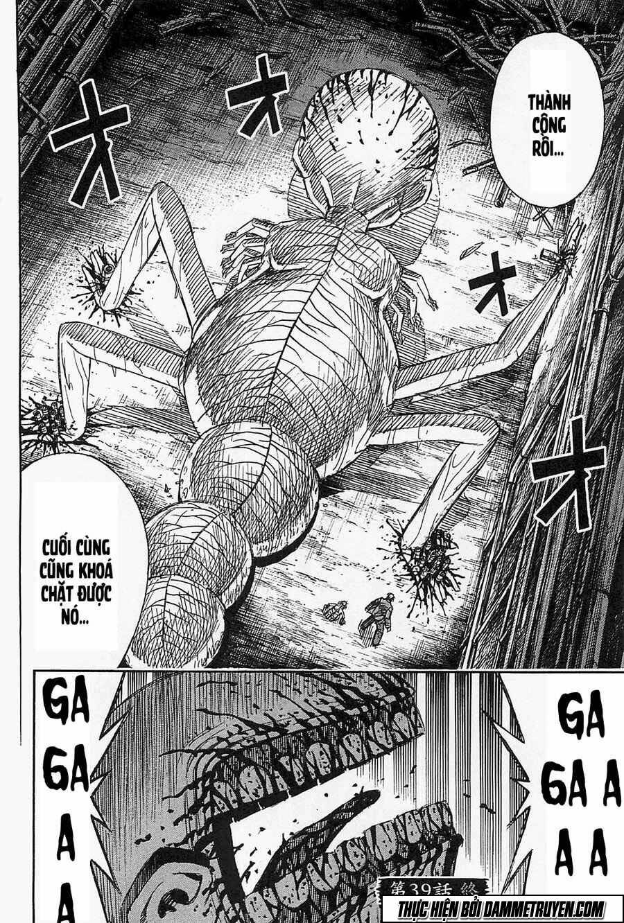 Đảo Ma Cà Rồng Chapter 369 - Trang 2