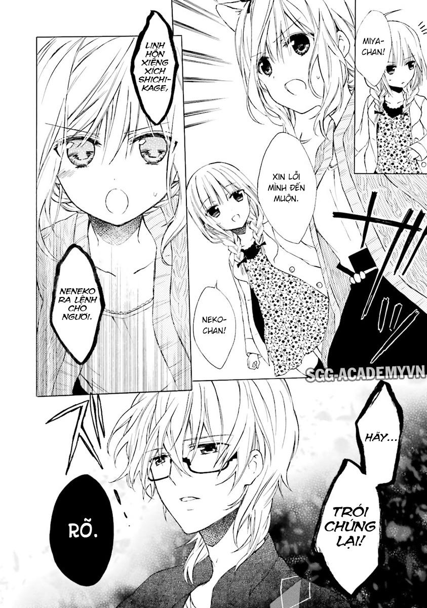 Kudamimi No Neko Chapter 4 - Trang 2