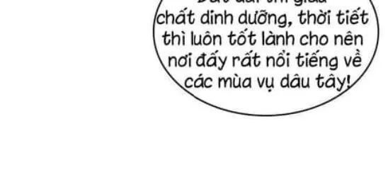 Thú Cưng Của Nữ Phụ Độc Ác Chapter 10 - Trang 2