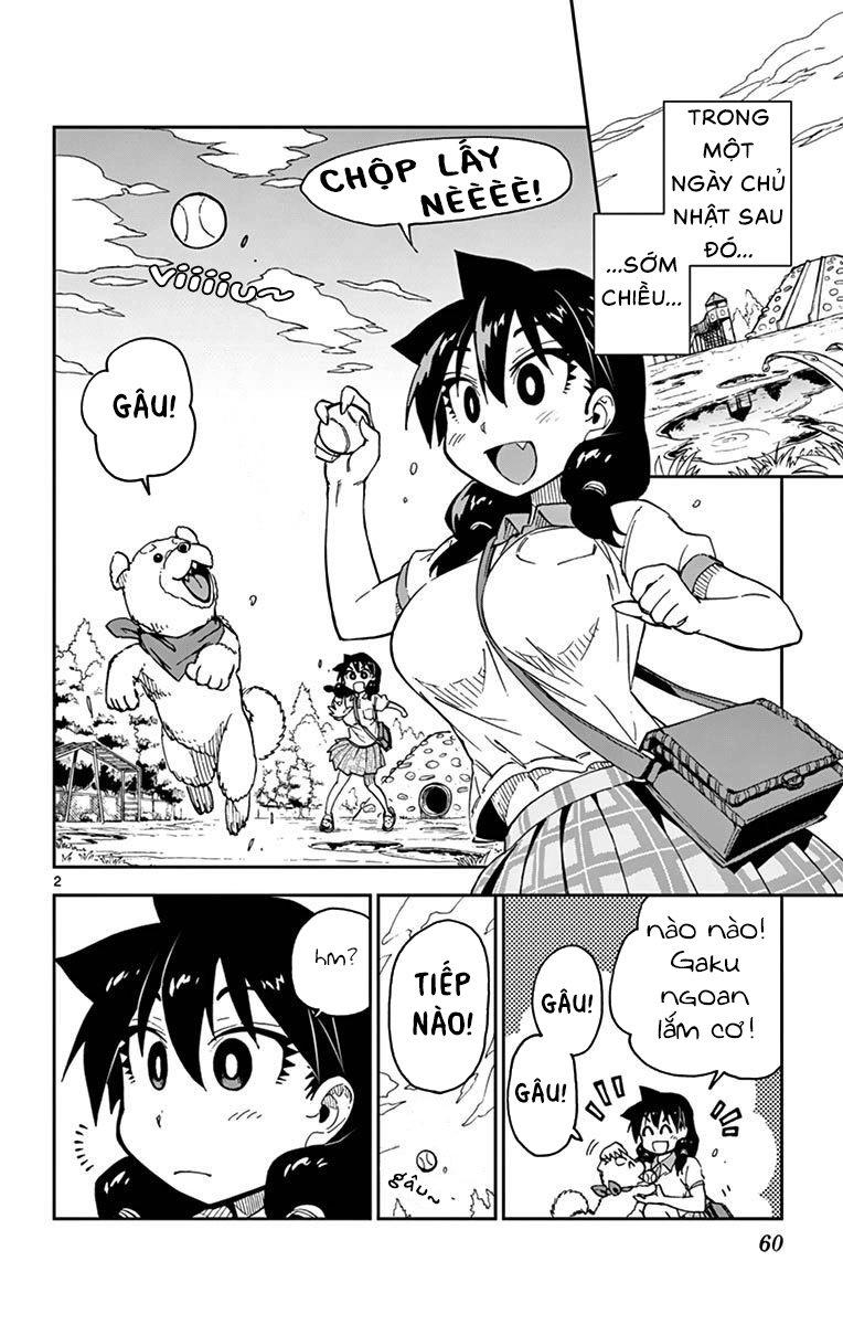 Amano Megumi Wa Suki Darake! Chapter 33 - Trang 2