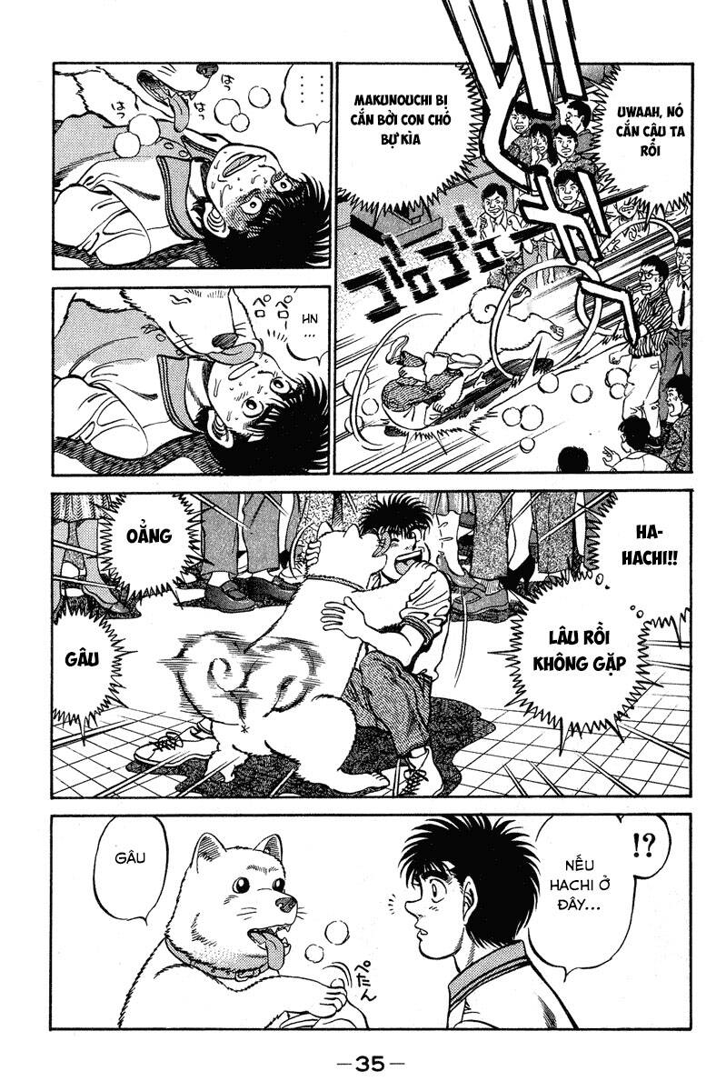 Võ Sĩ Quyền Anh Ippo Chapter 234 - Trang 2