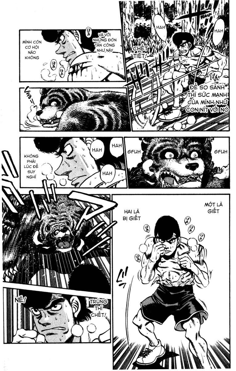 Võ Sĩ Quyền Anh Ippo Chapter 230 - Trang 2